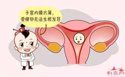 衡水代孕生殖:代孕妈妈可以吃桂皮煮的东西吗