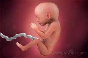 衡水代孕医生:胎儿头大10.4能顺产吗