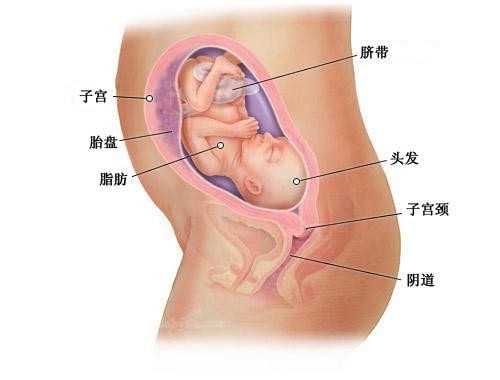 代孕中国官方网站_哺乳期乳汁太浓怎么办