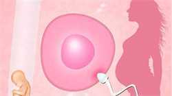 湖南2020年代孕包成功:月子里的宝宝鼻塞有点咳嗽怎么办