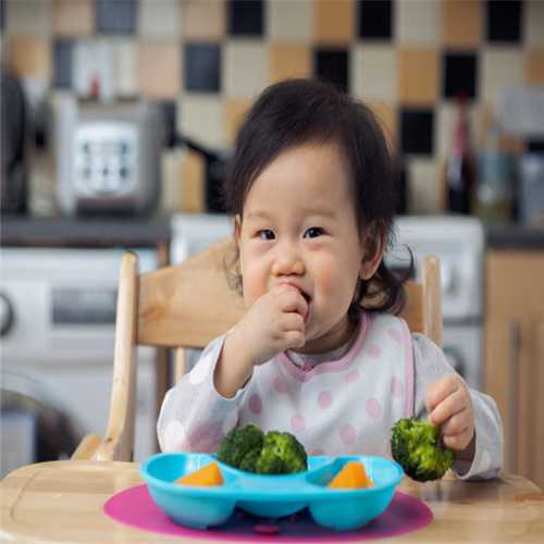 做试管婴儿前女性多吃哪些日常食物？